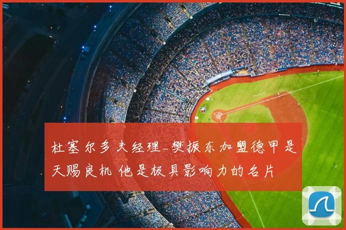 杜塞尔多夫经理_樊振东加盟德甲是天赐良机 他是极具影响力的名片