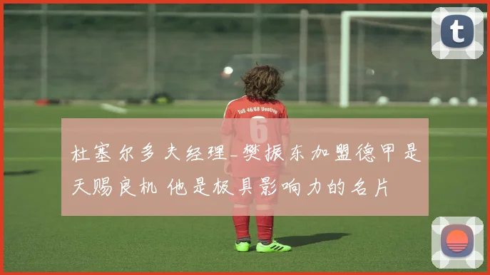 杜塞尔多夫经理_樊振东加盟德甲是天赐良机 他是极具影响力的名片