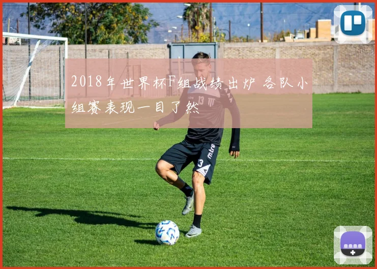 2018年世界杯F组战绩出炉 各队小组赛表现一目了然