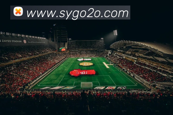 多媒体互动体验